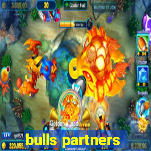 bulls partners